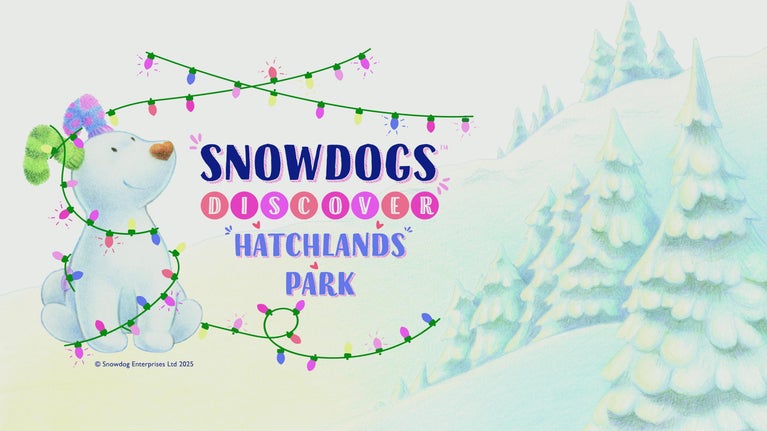 A drawing of the Snowdog with coloured socks as ears and surrounded by fairy lights, with pencil drawn snow coloured pine trees in the background and the words: Snowdogs Discover at Hatchlands Park